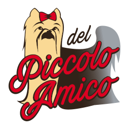 spitz tedesco nano pomerania in vendita