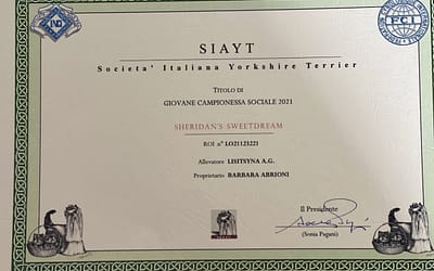 Giovane Campionessa Sociale SIAYT