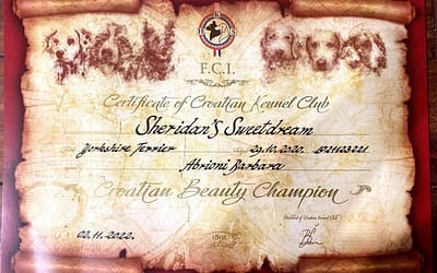 Diploma Campione Croato