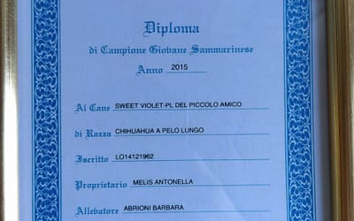 Diploma Giovane Campione Sammarinese – Chihuahua