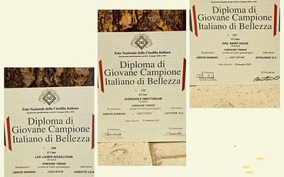 Tre Campionati Giovani Campioni Italiani