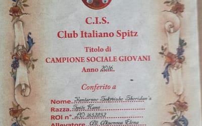 Club Italiano Spitz – Campione Sociale Giovani 2016